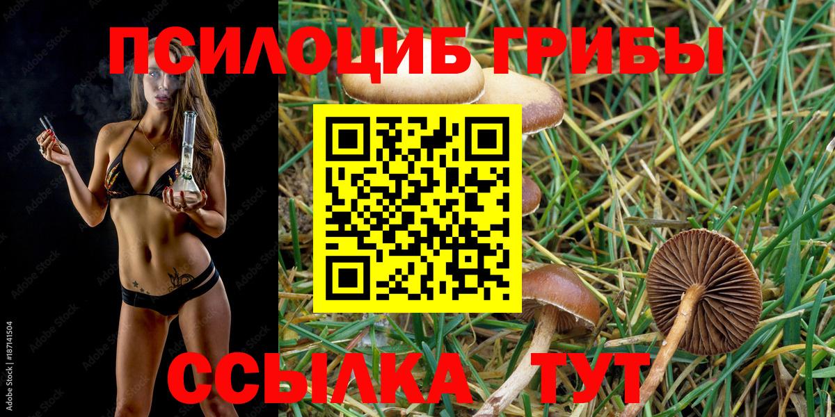 Псилоцибиновые грибы Magic Shrooms Ейск