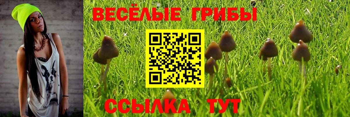 ГАШ  ТГК  Кокаин  MDMA  Марихуана  Ейск  Вход с VPN  Меф МЯУ МЯУ кристаллы 