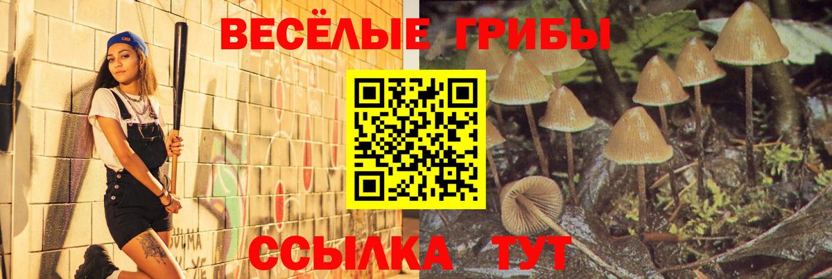 Ейск  Галлюциногенные грибы Cubensis  Вход с VPN 